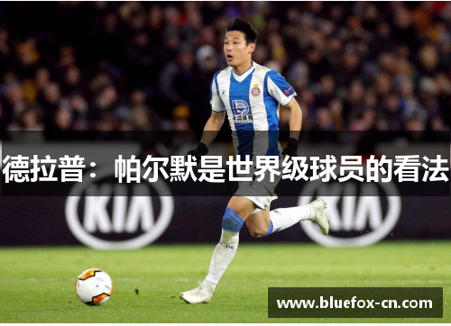 德拉普：帕尔默是世界级球员的看法